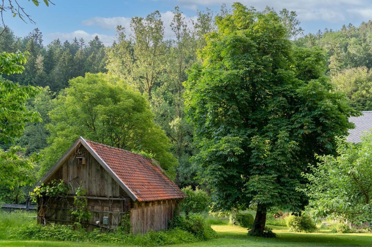 Ferienwohnungen Mittermurnthal Neunburg vorm Wald Exterior foto